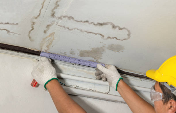 Reliable Structural Drying contractor in Brown City, MI by Water Damage Irwin